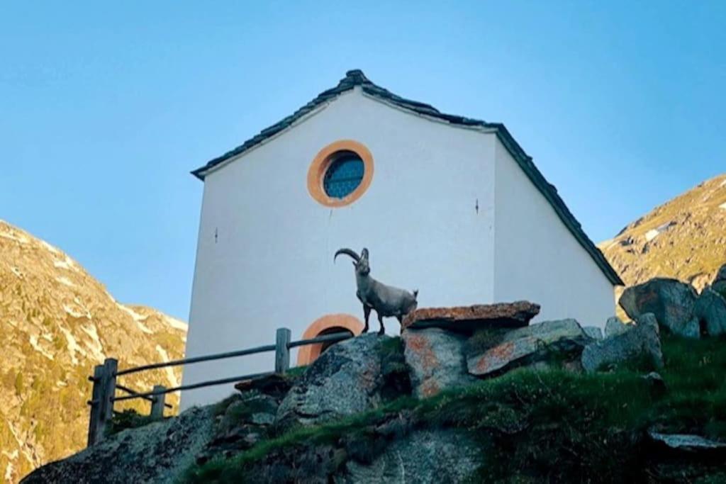 Apartment Morgengruss
